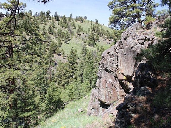 4th image of 6 Pine Coulee Ln