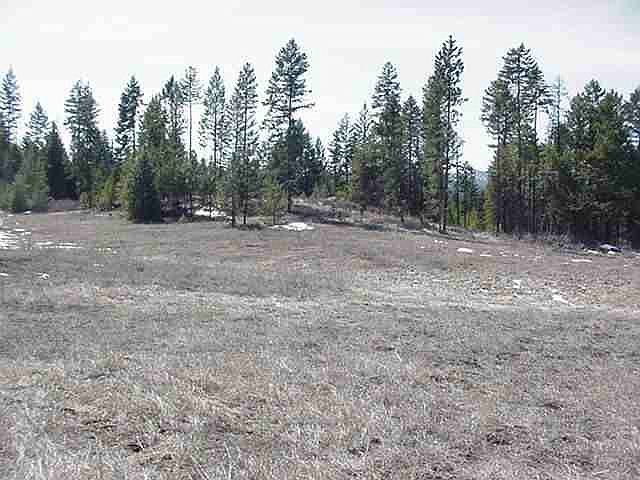 2nd image of 0 N Onion Creek Rd