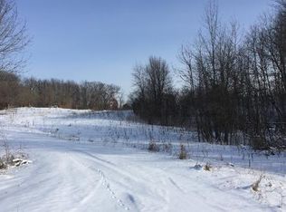 43815 Skogman Lake Rd, Cambridge, MN 55008