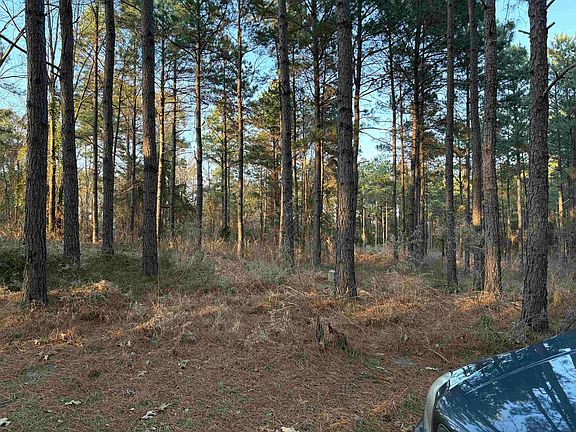 2nd image of 175 Mims Chapel Rd