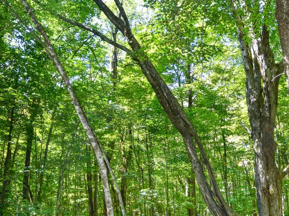 2002 W Center Rd, Otis, MA 01253
