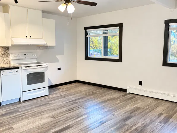 510 Main St APT 3, Silver Plume, CO 80476