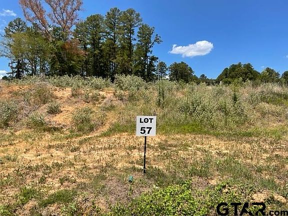 4th image of 9176 Long Branch Dr