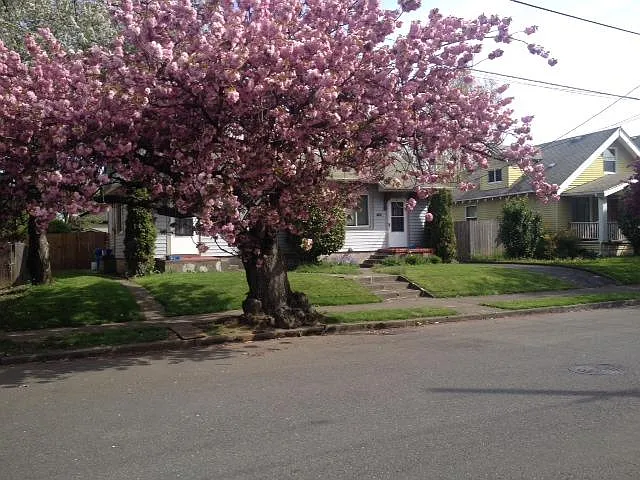 647 N Webster St — Photo 15