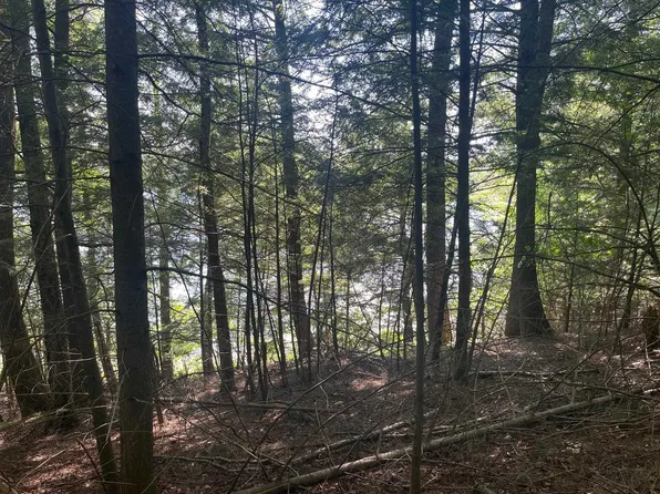 17197 Patti Ln, Townsend, WI 54175