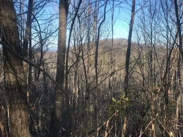 20 Rose Briar Rd #20, Boomer, NC 28606