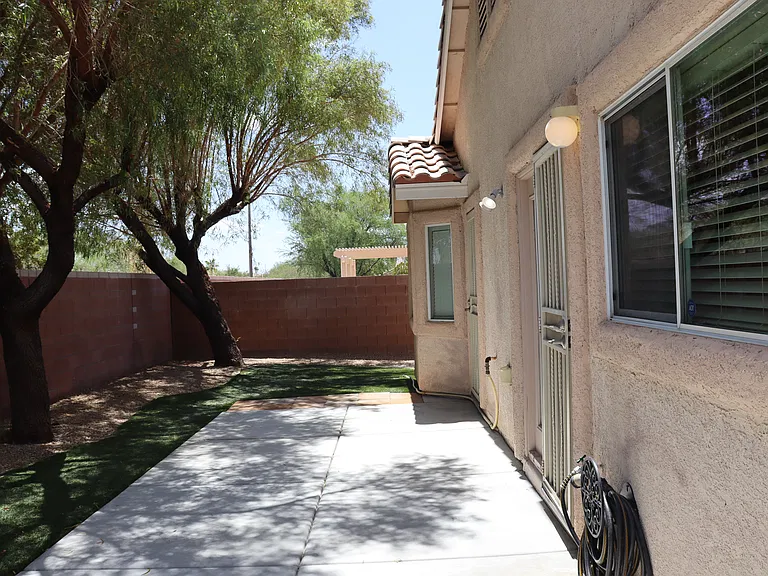 SHADY BACK YARD