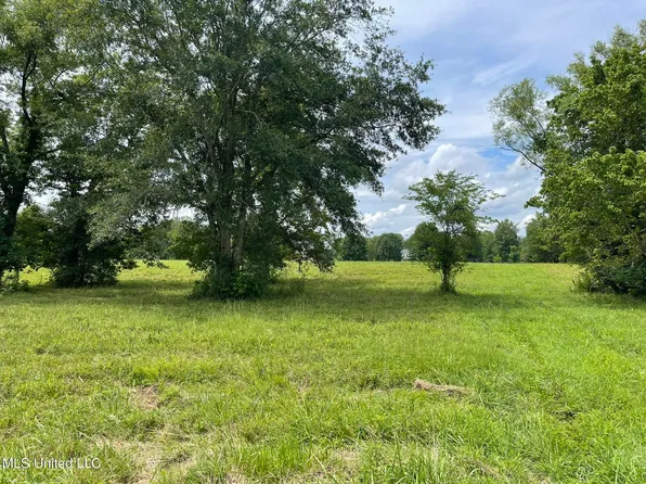 Middle Rd, Flora, MS 39071