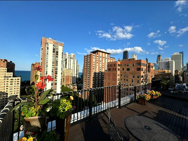 1339 N Dearborn St #8H — Photo 8