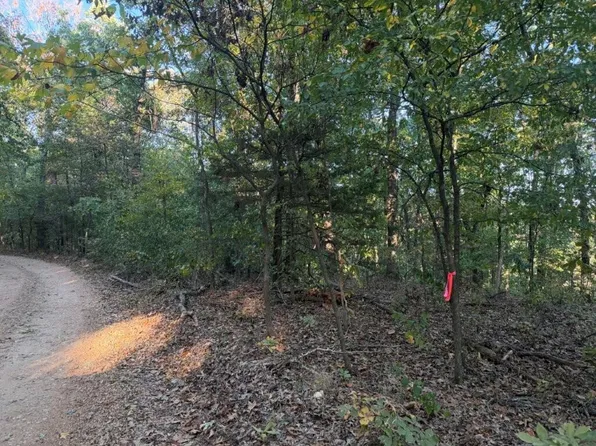 000 Skylark Road, Washburn, MO 65772