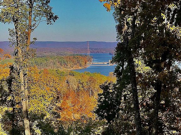 TN River in Fall