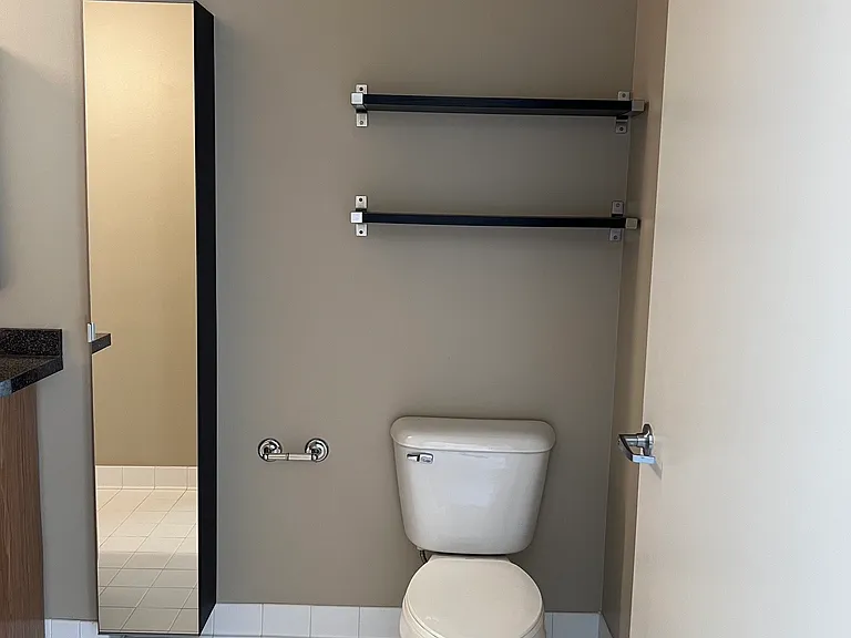costume built mirror cabinet and shelves