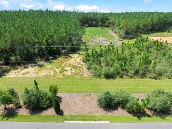 63 Naturewalk Dr, Milton, FL 32570