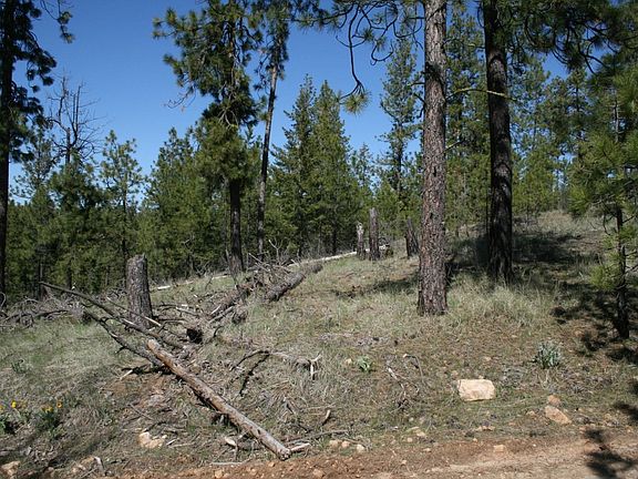 4th image of Xx Coyote Canyon Rd