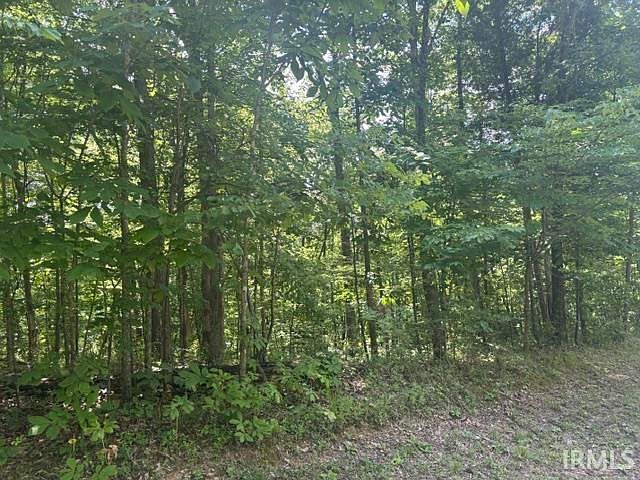 2nd image of Fox Run Ct