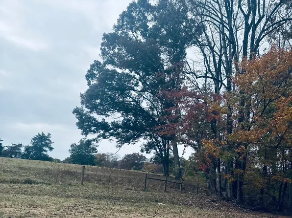 0 Scruggs Rd, Moneta, VA 24121