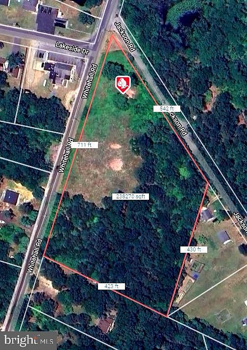 2nd image of 710 Whitehall Rd