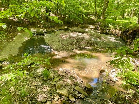 4th image of 0 Pete Johnson Rd