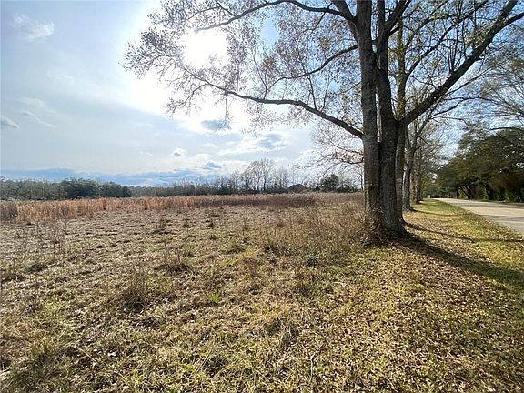 5th image of 12382 Quaglino Rd