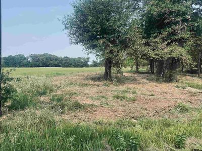 6 Leach Woods Cres E #1560, Alba, TX, 75410