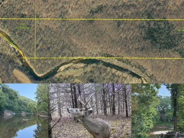 Turley Rd, Plato, MO 65552