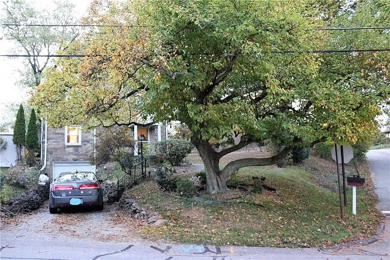 118 Gardenia Dr photo 1