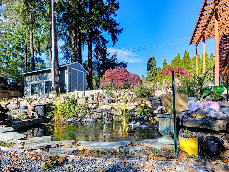 Koi Fishpond