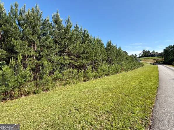 228 The Cove At Thirteen Hundred, Blairsville, GA 30512