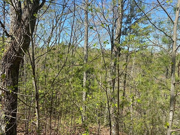2nd image of 13 Mountain Dreams Way Lot 13