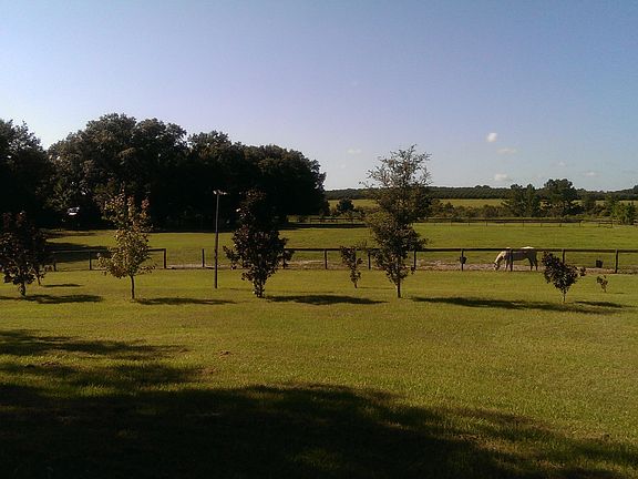 Back yard/Pasture/View