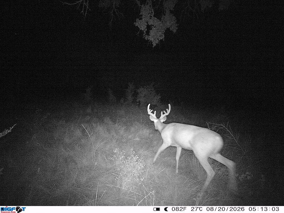 1st image of 0 Fm 1241