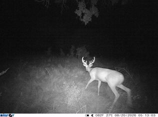 0 Fm 1241, Hamilton, TX 76531