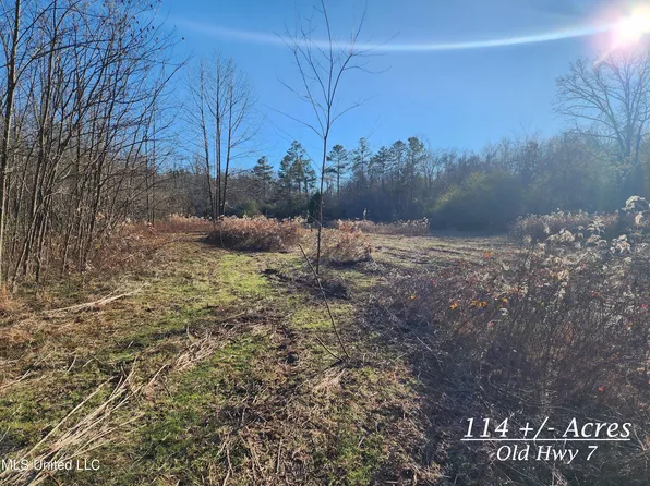 114/ACRE S Old Highway 7, Holly Springs, MS 38635