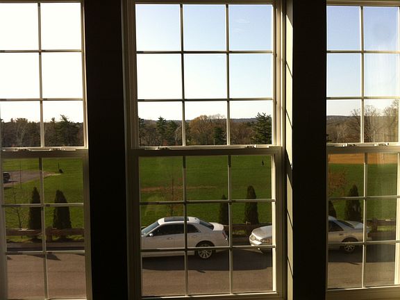 View From Living Room