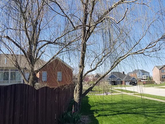 Side yard
