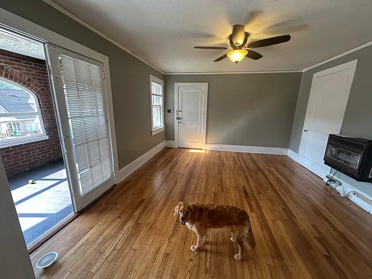 152 Walnut St #6 — Photo 11