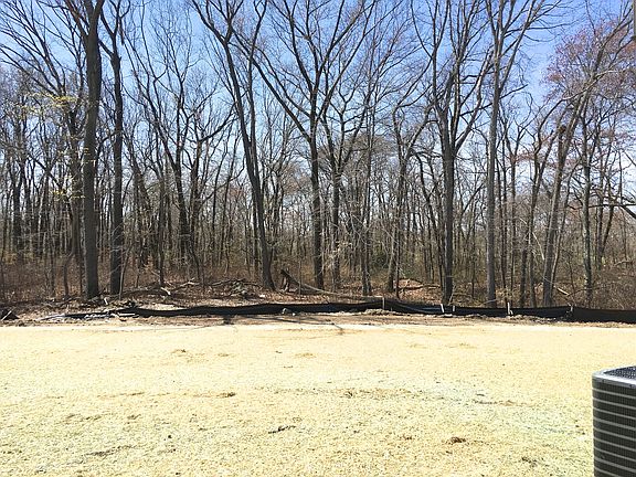 Wooded Lot