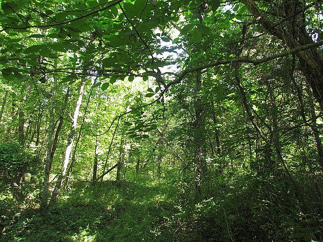 2nd image of 12012 Turner Hill Rd