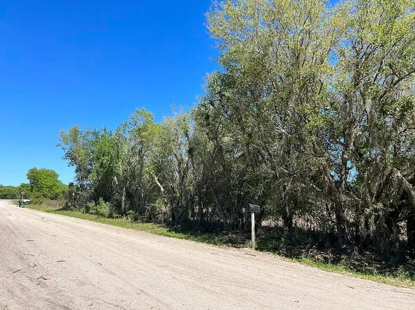 117 Charley Bryan Rd, Ona, FL 33865