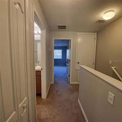 4060 Winding Vine Dr — Photo 101
