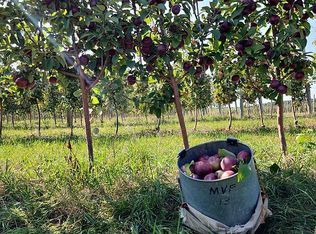 11150 S Fredrickson Rd, Empire, MI 49630