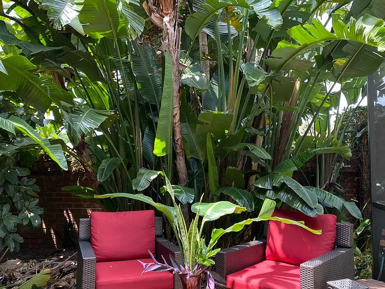 Outdoor side patio
