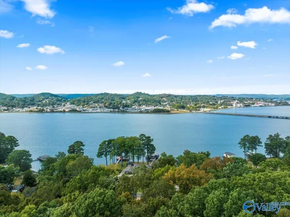 LOT 29 Wyeth Dr, Guntersville, AL 35976