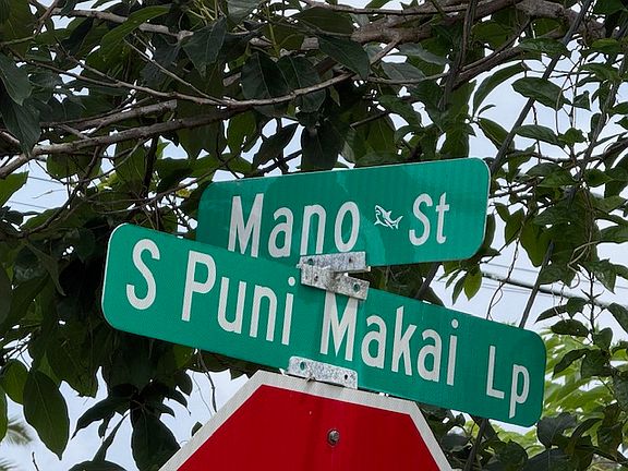 5th image of Mano St Lot 1196