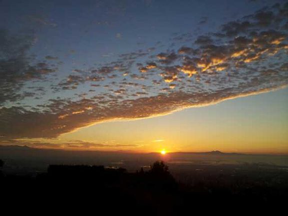 5th image of 4516 Palos Verdes Dr E