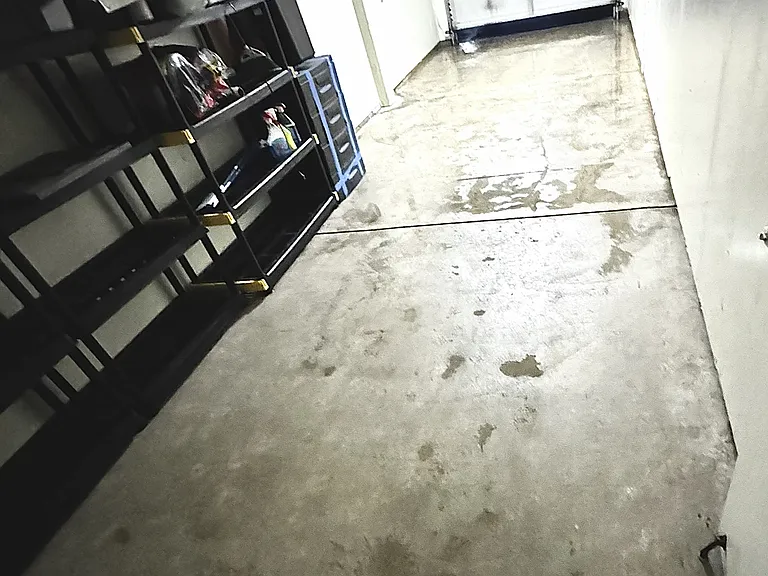 10001 Woodcreek Oaks Blvd #1326 — Photo 12