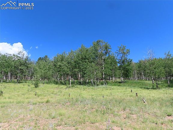 2nd image of 87 Deerfield Ln