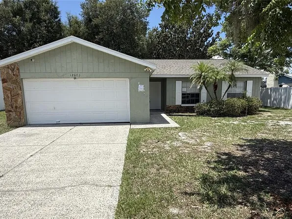 12803 SLIPPERY ELM COURT, RIVERVIEW, FL 33579