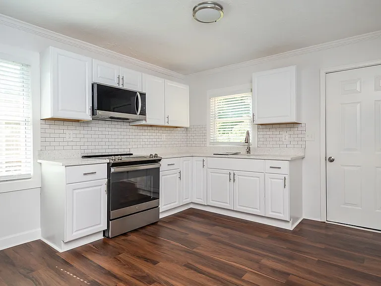 111 Mount Eustis St — Photo 4