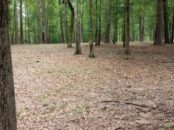 Blk 96 Lot 5 EXC THE W 165 FT LOT 5, OCALA, FL 34481